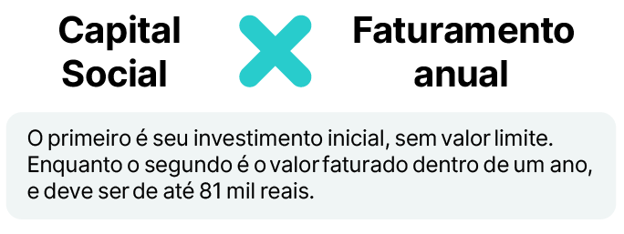 Citação do artigo sobre capital social MEI