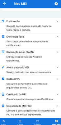 Imagem da tela do app MEI Fácil para fazer a declaração MEI